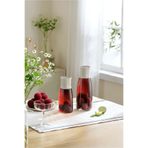 M'art Home Pinmoo NordicFresh Cam Filtreli Kapaklı Sürahi 600 Ml. – Soğuk Çay & Meyveli Su Şişesi