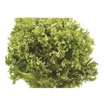 Marul Arapsaçı Kıvırcık Tohumu (10 Gr)