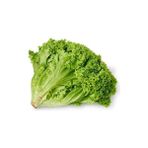 Marul Kışlık Kıvırcık Tohumu Paket 10 Gram