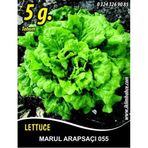 Marul Tohumu Arapsaçı 055 (Kıvırcık) - 5 g. (~ Takribi 2750 Tohum
