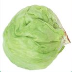 MARUL Tohumu ICEBERG 3 gram