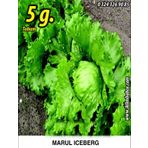 Marul Tohumu Iceberg - 5 G. (~ Takribi 2750 Tohum)