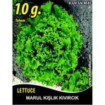 Marul Tohumu Kışlık Kıvırcık - 10g (~ Takribi 5500 Tohum)