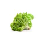 Marul Yazlık Tohumu Paket 10 Gram