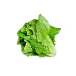 Marul Yedikule Tohumu Paket 25 Gram