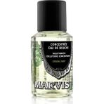 Marvis 30 ml Konsantre Ağız Gargarası - Gün Boyu Ferah Nefes ve Serinletici Nane Etkisi ile Ağız ve Diş Sağlığı
