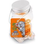 Mas Atas Zoo No:2 Cam Kavanoz Turuncu (618)