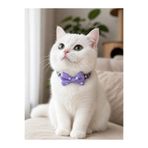 Masc Ozc Mor Lastik Şeritli Papyon Kedi Köpek Tasma 33cm