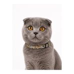 Masc Ozc Şeritli Papyon Kedi Köpek Tasma 33cm