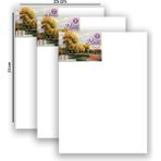 Masis Tuval 25 x 35 cm 3’lü
