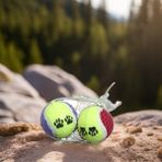 Master Petshop 2'li Tenis Topu Köpek Oyuncağı 6 cm