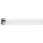 MASTER TL-D 90 De Luxe 18W/950 1SL/10 5300K Beyaz Floresan Ampul
