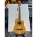 Masterwork Elektro Klasik Gitar Kılıf Yedek Takım Tel Hediyeli