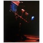 Mat Collishaw-Hayat Görüntü - kollektif