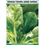 Matador Ispanak Tohumu 100 GR