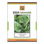 Matador Ispanak Tohumu 25 Gr.