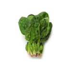 Matador Ispanak Tohumu Paket 25 Gram