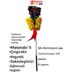Matatabi Cats Kelebek Al. Saplı Kedi Oltası(Matatabi,çıngırak ve Özel Hışırtı Içerir.özel Kumaş)