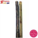 Matatabi Cats Sticks 2 Li Medium Kedi Oyuncağı 0.7x12 Cm