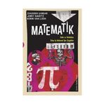 Matematik Çizgibilim / Ziauddin Sardar