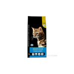 Matisse Kitten 10 Kg Yavru Kuru Kedi Maması