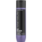 Matrix 300 ml Total Results So Silver Color Obsessed Saç Kremi