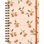 Matt Notebook A5 15X21 cm Spiralli Lastikli Kareli Tarihsiz Not Defteri Portakal Çiçeği