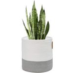 MaVaux Dekoratif Jüt Saplı Hasır Sepet Saksı 20cm X 20 Cm, Jüt Bej Saksılık, Dekoratif Saksı Ve Havluluk