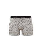 Mavi Baskılı Gri Boxer 0911049-82816 Gri-82816 S