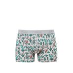 Mavi - Kaktüs Desenli Gri Boxer 091122-23854