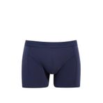 Mavi - Lacivert Basic Boxer 092121-30761