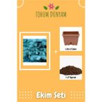 Mavi Ladin Ağacı Tohumu Ekim Seti
