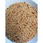 Mavi Pet Shop Muhabbet Kuşu Yemi Açık 2,5 kg