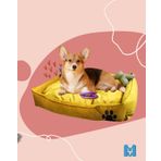 Mavi Vitrin Yıkanabilir Köpek Yatağı Büyük Boy Ultrasoft Silikon Elyaf Dolgulu (HARDAL)