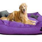 Mavi Vitrin Yıkanabilir Ultra Soft Köpek Yatağı Large (Büyük Irklar İçin) (Mor)