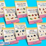 Mavi Yunus Bakalim Ogrenelim Dizisi (10 Kitap) (2-3-4 Yas)