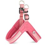 Max & Molly Matrix 2.0 Akıllı Künyeli Q-Fit Rose Large Köpek Göğüs Tasması
