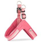 Max & Molly Matrix 2.0 Akıllı Künyeli Q-Fit Rose XLarge Köpek Göğüs Tasması