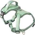 Max & Molly Matrix 2.0 Akıllı Künyeli Sport Jade Medium Köpek Göğüs Tasması