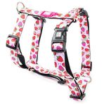 Max Molly Strawberry Dream Desenli Köpek Göğüs Tasması (large)
