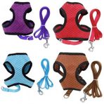 Maxi Life S Boyun 22 cm Olan Köpeklere Elegance Köpek Göğüs Tasması