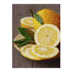MAXİ Limonlar - Diamond Painting, Elmaslı Goblen, Mozaik Tablo, Elmas, Boncuk, Taş Işleme 30 X 40cm