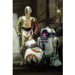 Maxi Star Wars Droids Poster