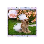MAXSTYLESPET Pet Gelinlik Ve Duvak Köpek Ve Kedi Için Düğün Nikah Nişan Evlilik Kıyafeti Elbise