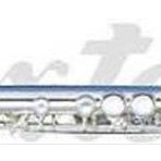 Maxtone TF48ES Flüt E Silver Wcase Aksesuar