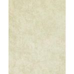 Maxwall Quantum Duvar Kağıdı 3-001 (10M2)
