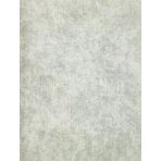 Maxwall Quantum Duvar Kağıdı 6-001 (10M2)