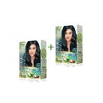 MAXX DELUXE 2 Paket Natural Beauty Amonyaksız Saç Boyası 1.1 Mavi Siyah RT-RYL-ARMAXX11-0