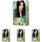 Maxx Deluxe Beauty Amonyaksız Set Saç Boyası 3.0 Koyu Kahve (4 Paketi)