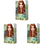 Maxx Deluxe Beauty Amonyaksız Set Saç Boyası 8.45 Tarçın Bakır (3 Paketi)